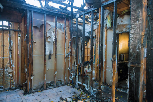 Professional Firefighting Water Removal technician working in Rosedale, WA