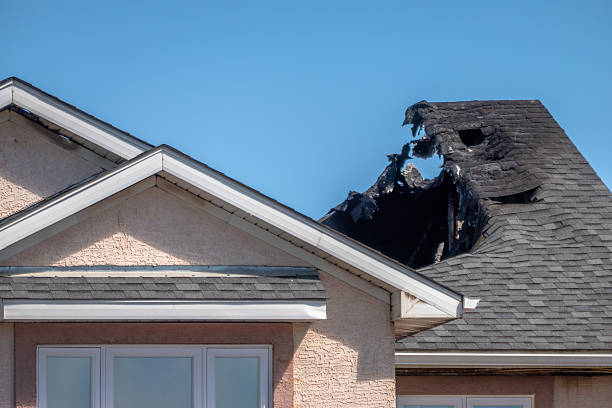 Top rated local Firefighting Water Removal specialists in Rosedale, WA